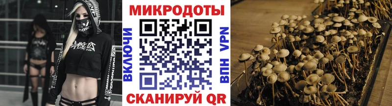 Галлюциногенные грибы Psilocybine cubensis Соль-Илецк